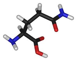 Unter bestimmten umständen ist er allerdings über die zufuhr aus der nahrung angewiesen. Bcaas Und L Glutamin Wirkung Einnahmeempfehlung Und Kritische Bewertung