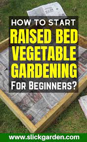 How To Start Raised Bed Vegetable Gardening For Beginners Vegetable Garden Raised Beds Gardening For Beginners Vegetable Beds Raised