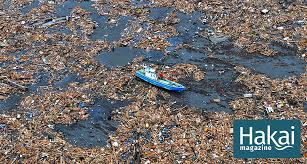 The most devastating earthquake to strike japan was in 1923, when a magnitude 7.9 tremor devastated tokyo and yokohama and killed an estimated 142,800 people. Japan S Wildlife Is Still Reeling From The 2011 Earthquake And Tsunami Hakai Magazine