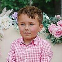 The Sinclair Betrayal by M.J. Lee