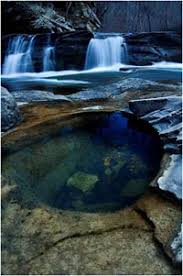 Het hotel is daardoor ideaal voor toeristen. Turkey Creek Nature Preserve