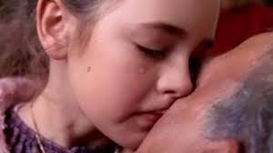 Horst Scheel: Películas, biografía y listas en MUBI