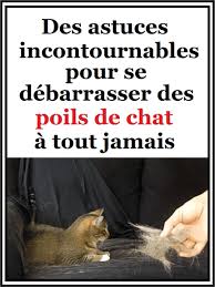 Epingle Sur Animaux Insectes