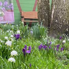 Ideen für einen schönen garten holt ihr euch bei garten schlüter. Garten Schluter Photos Facebook