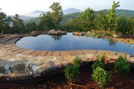 Natural Swimming Pool R A Landscaping