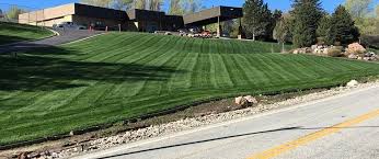 Many outdoor landscaping and design, lawn mowing and tree trimming companies will likely accept some form of digital payment instead of cash or check. Commercial Property Services Salt Lake City Ut Landscape Solutions