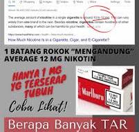Area51 Katamso - Sebenarnya Nikotin berapa sih yang baik ...