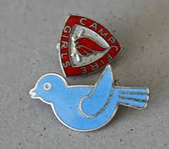 Blue Birds Camp Fire Girls Memorabilia Pinterest Camp Fire Girls Blue Bird Campfire