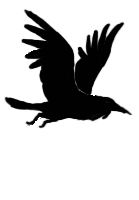 Birds With Human Arms Gif Https Encrypted Tbn0 Gstatic Com Images Q Tbn 3aand9gcqguokhrfutr 5cgk6yh24ftqzc0vzovtm4ea Usqp Cau