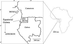 Image result for Hetaeria heterosepala