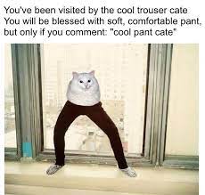 Trending images, videos and gifs related to pants! Pin On Meme Bois