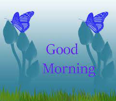 We did not find results for: Wishes Morning Gif Animated Image Free Download Free Gif Animations