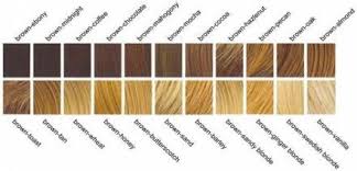 49 Ideas Hair Color Chart Genetics For 2019 Brown Hair Shades Hair Color Chart Hair Color Names