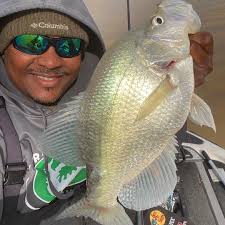 Profile for Carlos Willis Fishing