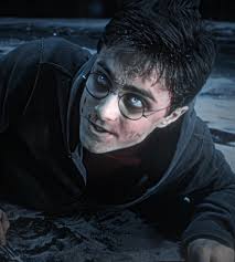 Harry Potter Saga Experience