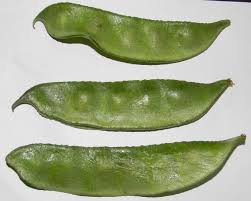 Image result for Lablab