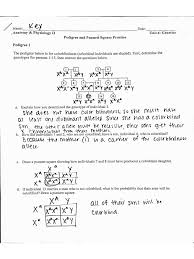 A heterozygous female is crossed with a wrinkled male. Pedigree And Punnett Square Practice Answer Key