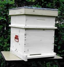 Producem si comercializam lazi de albine. Apicultura De La A La Z Stupul Vertical