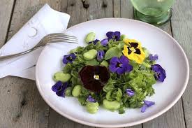 If you're not sure if a plant is edible, always check a trusted resource before giving it a taste test. Edible Flower Salad Taste Of Beirut