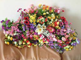 We wholesale different goods which are populared in europe countries,especially the silk stocking flower ,they are beautifull and cheapest.the most important is that we product it by pure. Artificial Flowers Bulk For Sale Ebay