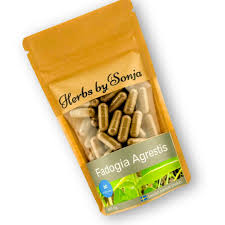 Image result for Fadogia tomentosa