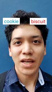 COOKIE vs BISCUIT