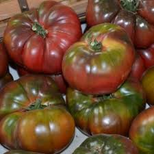 However they take about 80 days to produce tomatoes which could limit your harvest. Black Krim Tomato Seeds Prijs 1 85