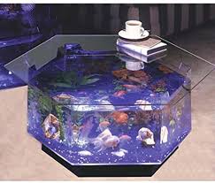 10 gallon and 20 gallon models are easily possible. Amazon Com Long Octagon Aqua Coffee Table Aquarium Coffee Table Aquarium Fish Tank Pet Supplies