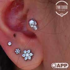 lynn on instagram fresh tragus with a white gold skull from bvla appmember safepiercing piercings coralsprings fortlauderdale browardcounty piercer