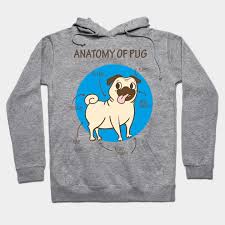Anatomy Of Pug