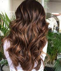 60 Chocolate Brown Hair Color Ideas For Brunettes Light Hair Color Low Light Hair Color Light Hair