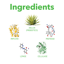 Optagest | Plant Based Prebiotics & Digestive Enzymes for Dogs & Cats – Dr.  Judy Morgan's Naturally Healthy Pets