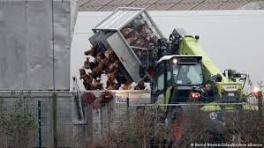 May 31, 2021 · cel puțin 46 de țări au raportat focare extrem de patogenice de gripă aviară! IntrebÄƒri È™i RÄƒspunsuri Despre Gripa AviarÄƒ Societate Dw 03 06 2021