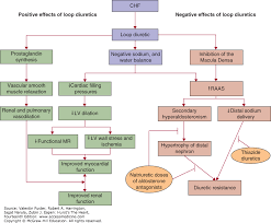 The Diagnosis And Management Of Chronic Heart Failure