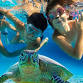 Sunset Snorkel: Virgin Islands Gourmet Cruise event in St Thomas