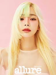 헤이즈의 미모가 흑백을 뚫고 나온다, ê¸ˆë°œ ì—¬ì‹  í—¤ì´ì¦ˆ ë…íŠ¹ í—¤ì–´ì»· ê³¼ê°í•œ ë…¸ì¶œ ê¹œì§ ë¨¸ë‹ˆíˆ¬ë°ì´