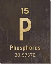 Phosphorus Periodic Table Of Elements Wrapped Canvas Print Canvas Giclee Canvas Prints Inkjet Printing