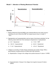 Apb neuron function pogil pdf neuron function how does, pogil activities for ap biology neuron function answer key, bio key membrane structure and function pdf, biology 12 neuron function pogil answer key joomlaxe com, 26 1 neurons and glial cells biology for ap courses, neuron. Action Potentials V2 Depolarization Action Potential