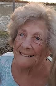 Shirley DeVries Obituary (2024)