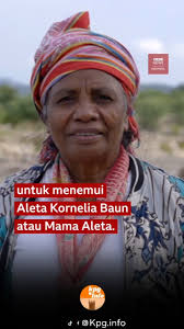 Aleta Kornelia Baun maju sebagai satu-satunya utusan masyarakat adat Tiga  Batu Tungku di Kabupaten Timor Tengah Selatan, Nusa Tenggara Timur (NTT)  untuk bertarung memperebutkan kursi legislatif di ...
