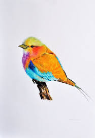 30 Beautiful Bird Drawings And Art Works For Your Inspiration Drawings Bird Drawings Pencil Drawings