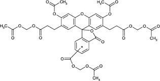 The increase in fluorescence was recorded using the instrument software. Bcecf Am Ultra Pure Enz 52102 Enzo Life Sciences
