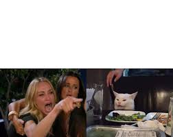 Woman Yelling At A Cat Hd Blank Template Imgflip The extremely popular woman yelling at a cat meme features a screencap of the real housewives of beverly hills cast members taylor armstrong and kyle richards combined with a picture of a white cat snarling want to make your own? woman yelling at a cat hd blank