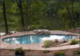 If you are planning on spending a lot of time in the sun this summer, or you are interested in relaxing in your own confines, search no more. Dolphin Pools Spas Llc