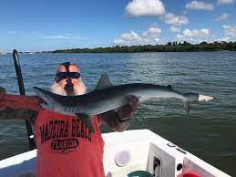 Skylar grew up fishing the coastlines, bays, lakes, rivers and ponds—and anywhere else that had a couple feet of water. Shark Picture Of Spanish Sardine Fishing Charter St Petersburg Tripadvisor