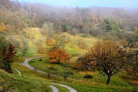Zur hauptseite botanischer garten tübingen weitere informationen zum botanischen garten in tübingen botanischer garten, conventgärten, englische gärten, färbergarten, forstbotanische gärten, gemüsegärten, klostergärten, kräutergärten, landschaftsgärten, lehrgarten, lustgarten. Botanischer Garten Der Universitat Tubingen Tuebingen Info De