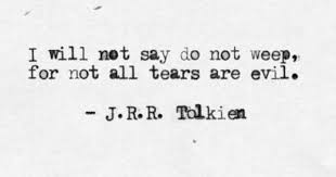 C71f9a96bdf93125ba64ce68d3fa8706 Jpg 500 333 Tolkien Quotes Pretty Words Words