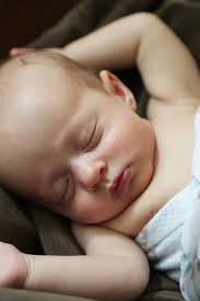 Alexander Photography