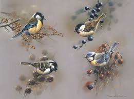 18 Beaux Tableaux De Jan Weenink Peinture Oiseau Dessin Oiseau Oiseaux Peints