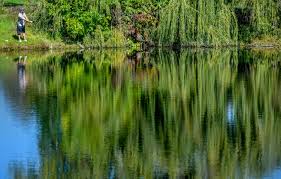 A Fine Day For Fishing And Relaxing At Donovan Park Https Ift Tt 2lygaux Donovan Photo Relax